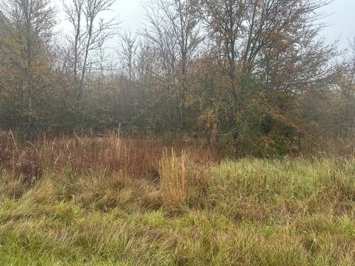 527 Tahiti Ln, Tool, TX, 75143 | Card Image