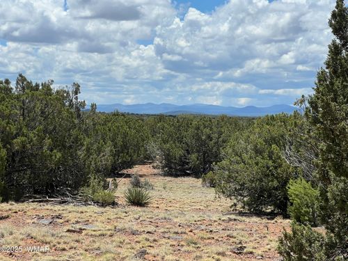 TBD County Rd, Concho, AZ, 85924 | Card Image