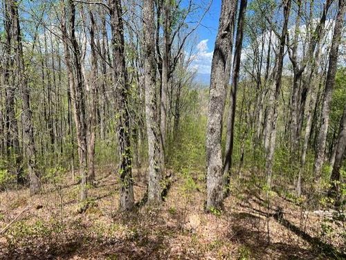 LOT 86 Rocky Knob, Young Harris, GA, 30582 | Card Image