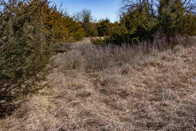 View of landscape | Image 13