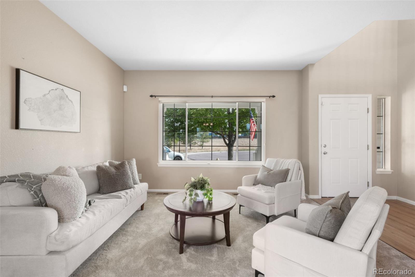 Residential in Castle Rock 5