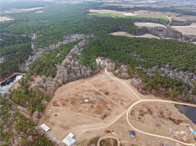0 Banks Dairy Rd, Home with 0 bedrooms, 0 bathrooms and null parking in Portal GA | Image 9