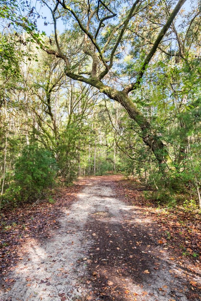 HFL_OSBORNE TRACT-12 | Image 18