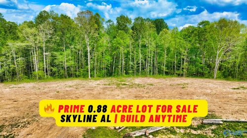 .88 Acre Scottsboro Hwy, Scottsboro, AL, 35769 | Card Image