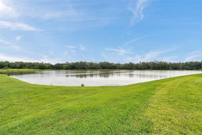 water view | Image 48