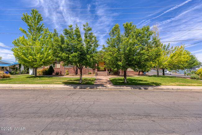 Mature Trees | Image 8