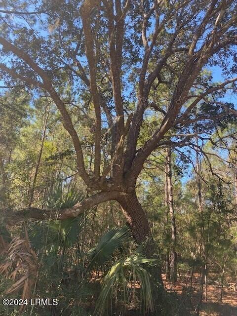 Land in St. Helena Island 2