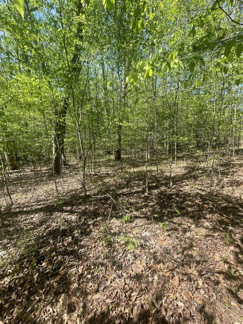 389 Excalibur Trl, Cedar Grove, TN, 38321-6748 | Card Image