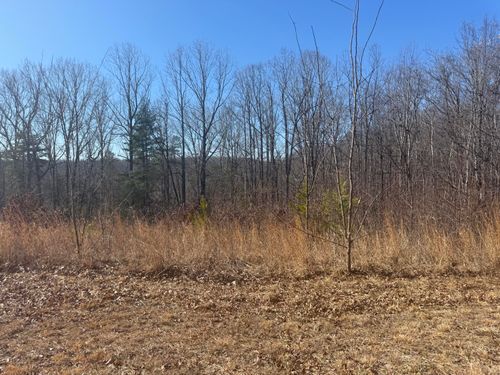 Lot 11 Thompson Ridge Cir, Ferrum, VA, 24088-2717 | Card Image