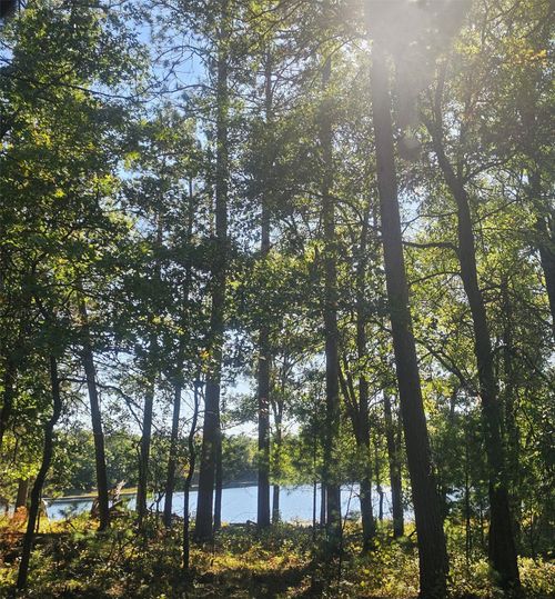 xxx County Road H, Danbury, WI, 54830 | Card Image