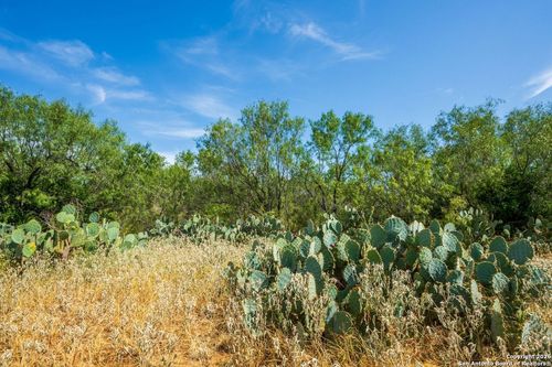 CR 732 County Road 732, Yancey, TX, 78886 | Card Image