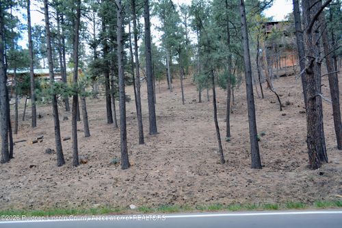 Lot 61 Ft. Stanton Road, Alto, NM, 88312 | Card Image