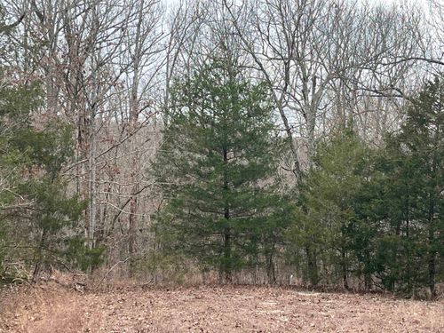 TBD Owasso Ln, Cherokee Village, AR, 72529 | Card Image