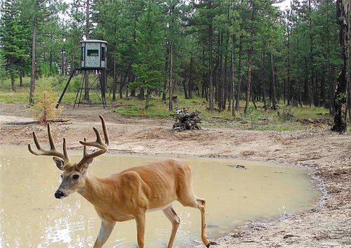TBD Tbd, Plains, MT, 59859 | Card Image