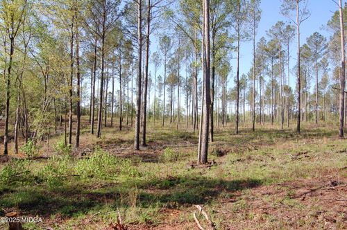 0 Watson Road East Tract 7, Forsyth, GA, 31029 | Card Image