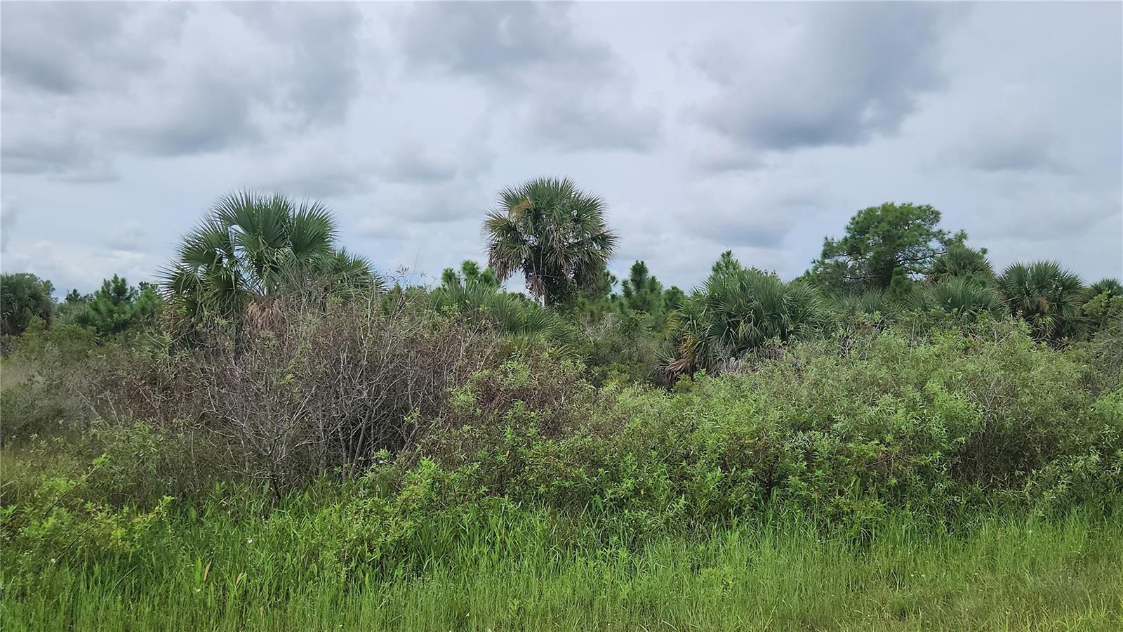 Other in Okeechobee 3