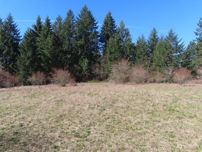 B - 107 Avery Rd W, Home with 0 bedrooms, 0 bathrooms and null parking in Napavine WA | Image 18