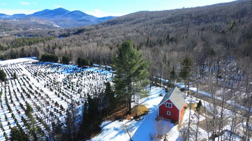 374 Crank Rd, Bloomfield, VT, 05905 | Card Image