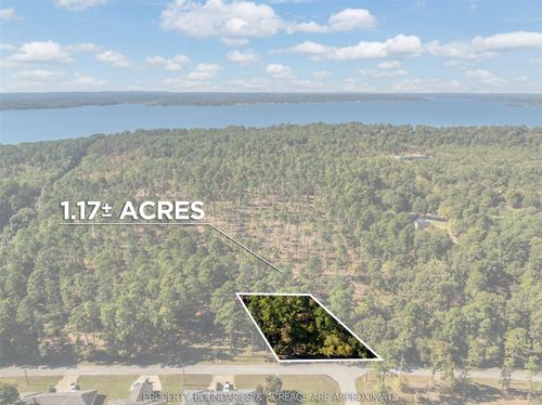 3 Pintail Dr, Flint, TX, 75762 | Card Image