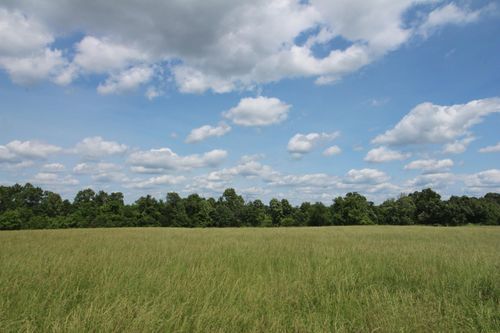 000 County Road 7830, Caulfield, MO, 65626 | Card Image