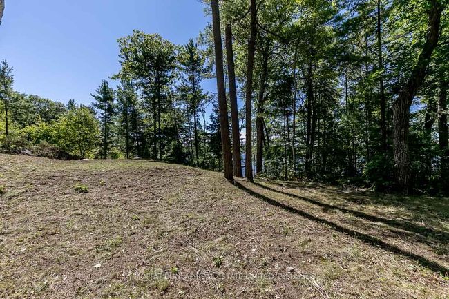 32 Webber Island N/A, Home with 0 bedrooms, 0 bathrooms and null parking in Georgian Bay ON | Image 5