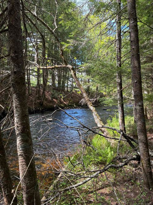 0 Grafton Turnpike Rd, Canaan, NH, 03741 | Card Image