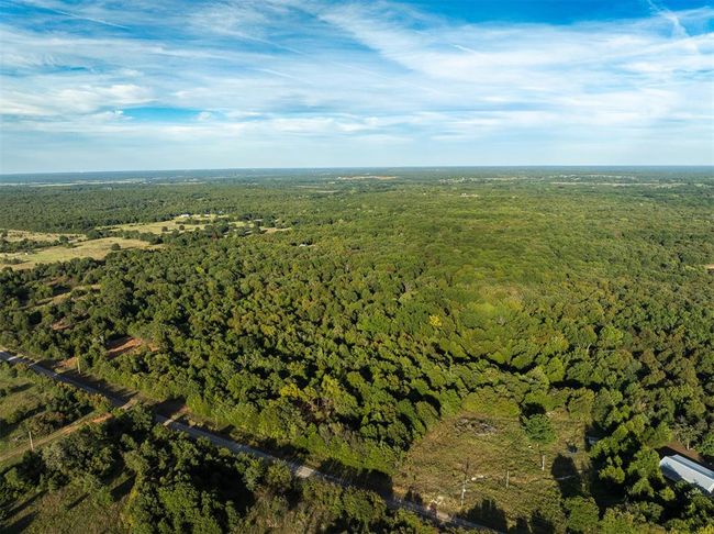 Drone / aerial view featuring a forest view | Image 17