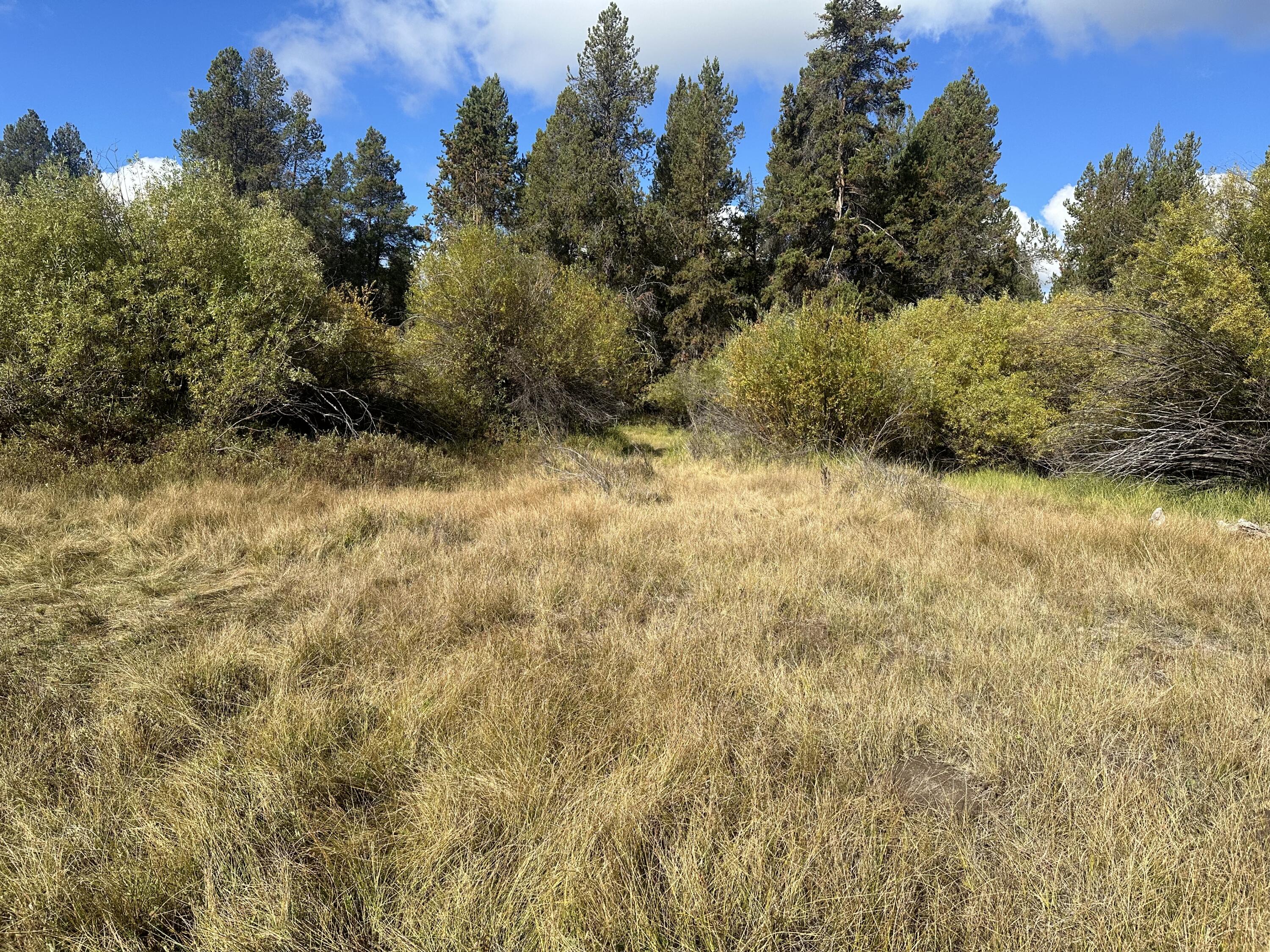 Land in La Pine 4