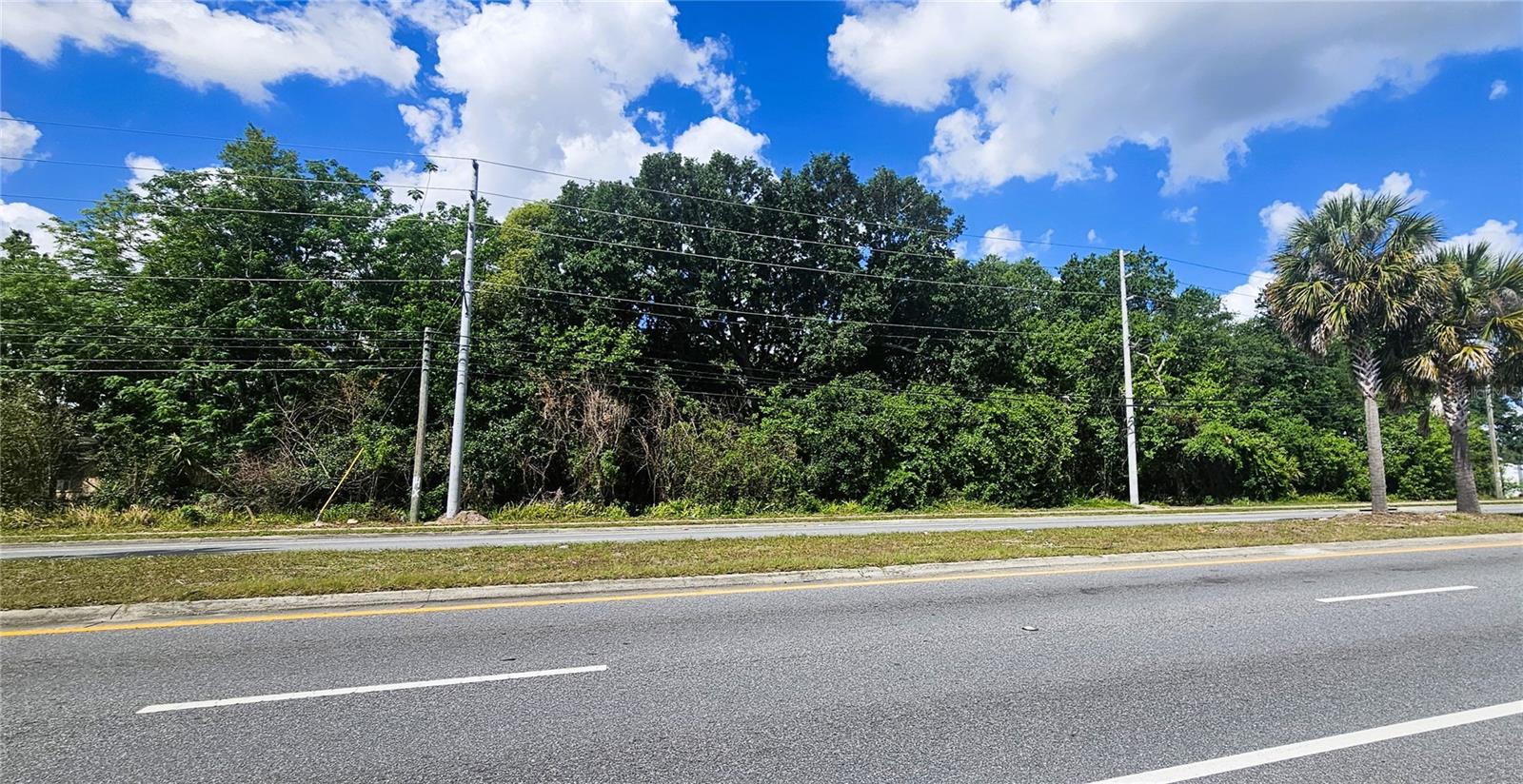 Land in ORLANDO 3