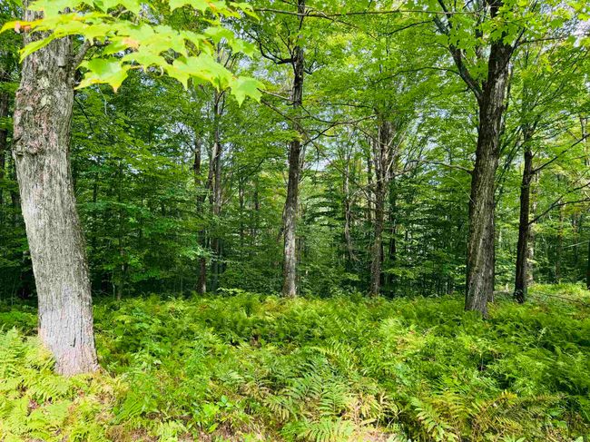 376 Stephenson Hts, House other with 3 bedrooms, 2 bathrooms and null parking in Irasburg VT | Image 34