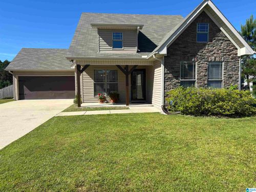 507 Village Springs Ln, SPRINGVILLE, AL, 35146-6241 | Card Image