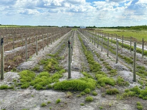 5567 5th Rd, LABELLE, FL, 33935 | Card Image