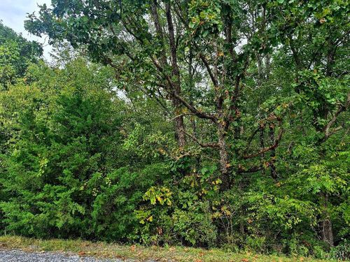 0 Wildflower Ln, Dillwyn, VA, 23936 | Card Image