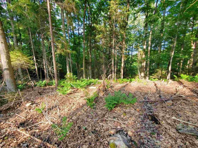 4 Murdock Ln, Home with 0 bedrooms, 0 bathrooms and null parking in Whitingham VT | Image 4