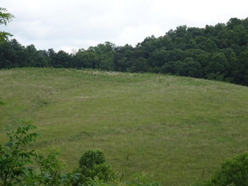 521 Coon Creek Rd, Wellington, KY, 40387 | Card Image