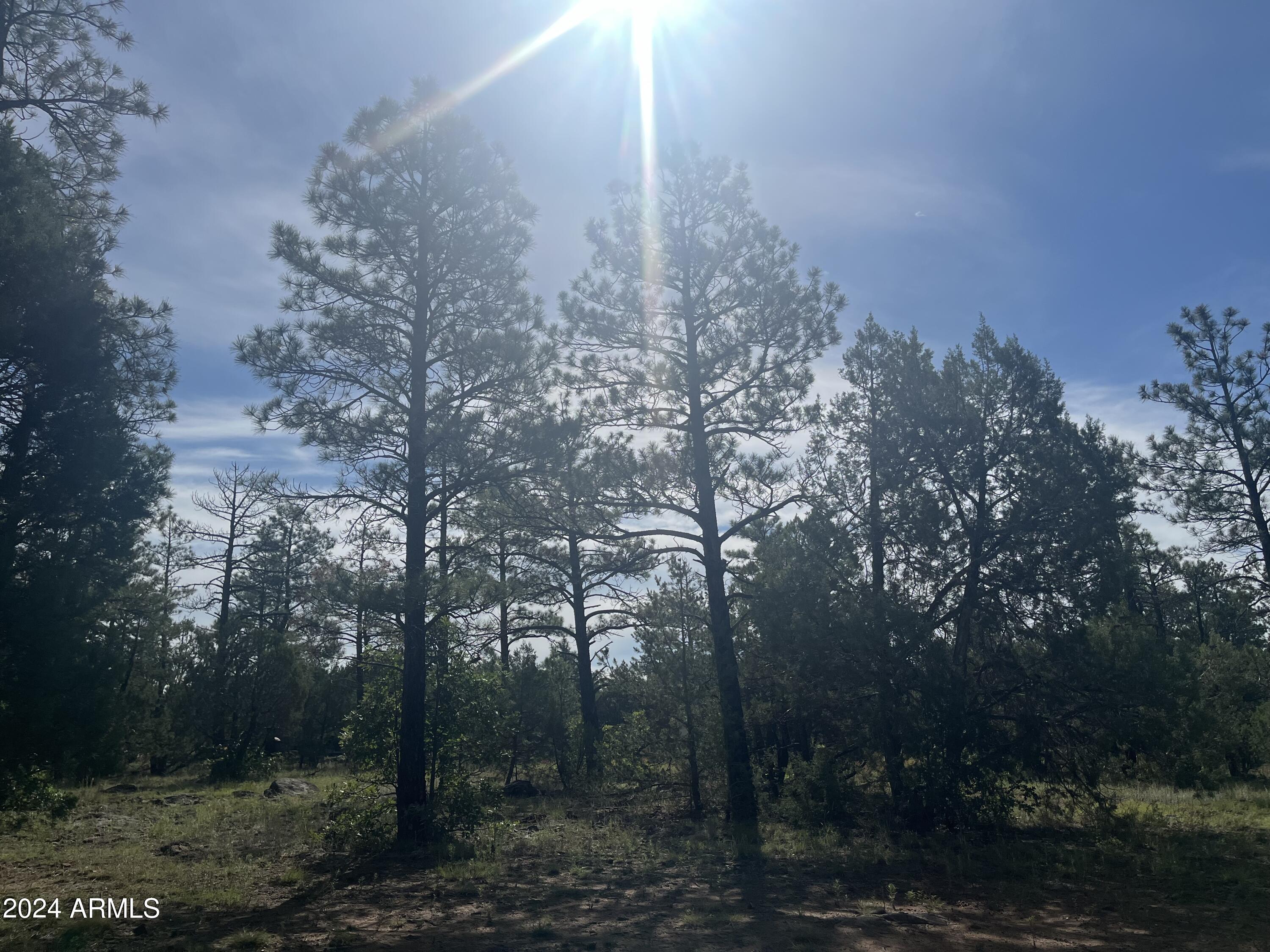 Land in Lakeside 4