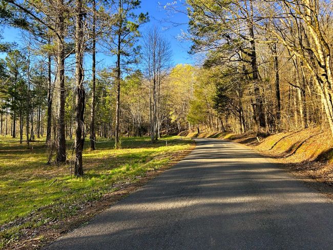 4 Hiwassee Rd, Home with 0 bedrooms, 0 bathrooms and null parking in Calhoun TN | Image 5