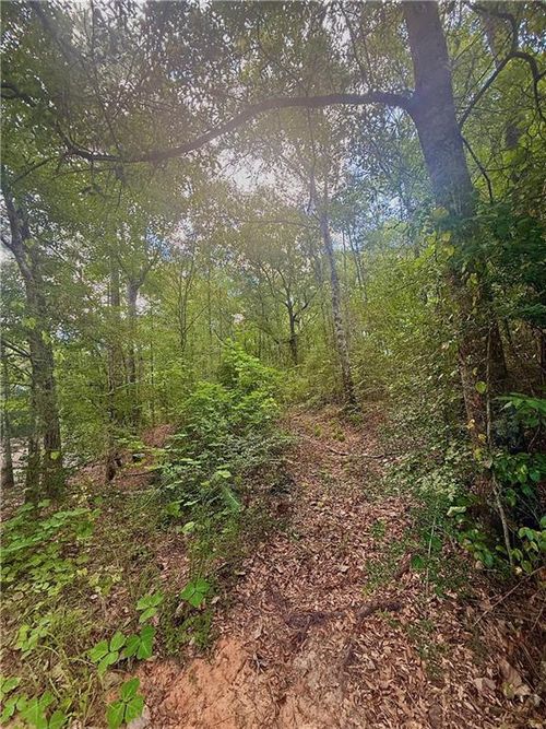 TBD 21 Acres Hwy 430 Highway, Franklinton, LA, 70438 | Card Image