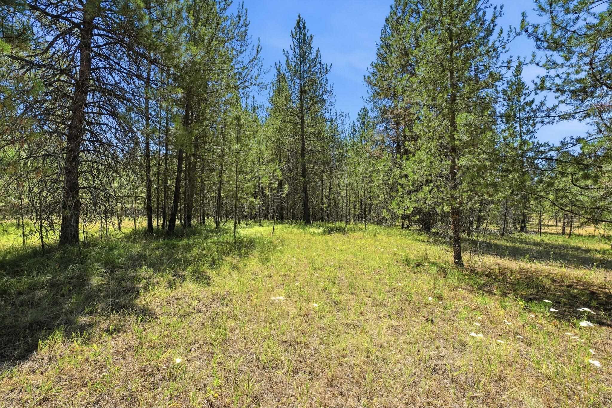 Land in Chattaroy 4