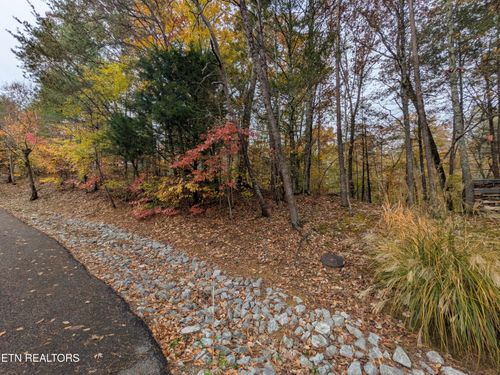 517 Clearwater Cir, Townsend, TN, 37882-3675 | Card Image