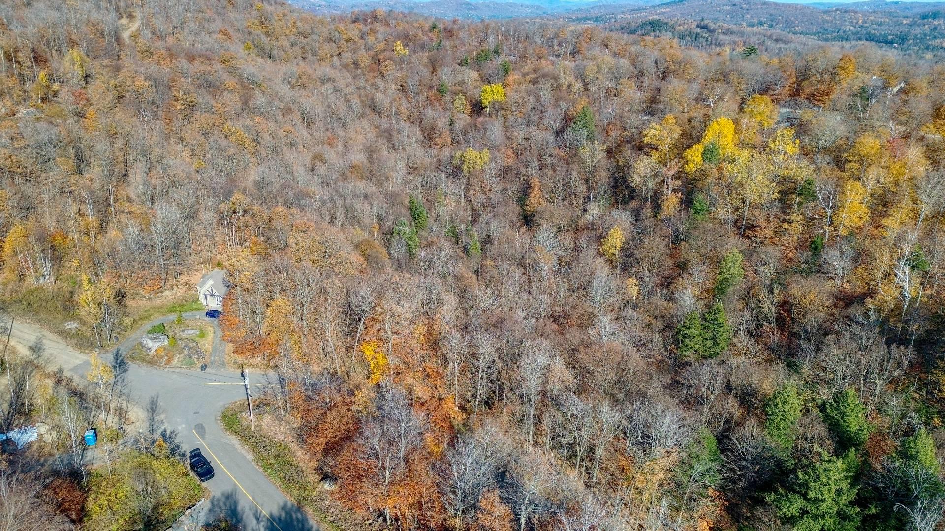 Land in Morin-Heights 5