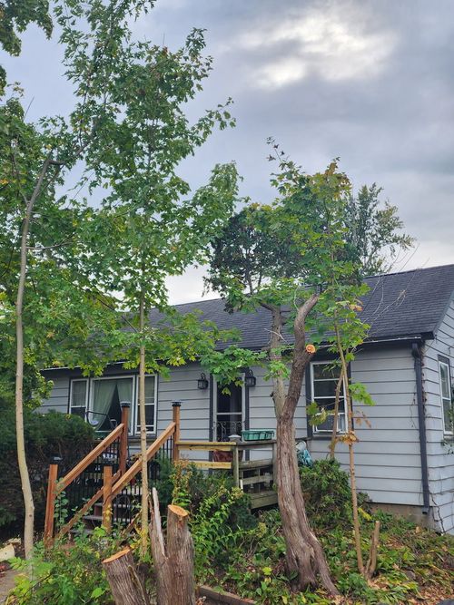 2061 Buckley Rd, Libertyville, IL, 60048-1103 | Card Image