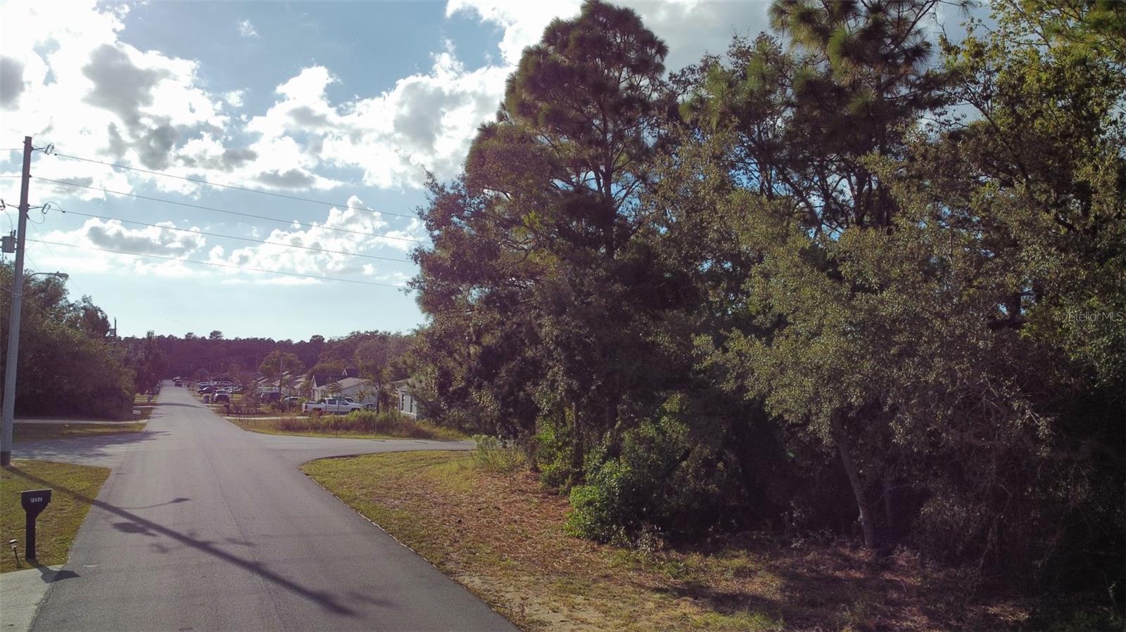 Land in SPRING HILL 5