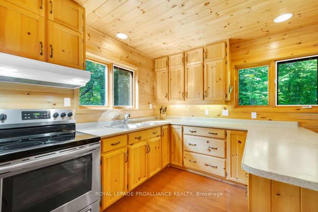 1091 Lindey Lane, House other with 3 bedrooms, 1 bathrooms and 8 parking in North Frontenac ON | Image 16