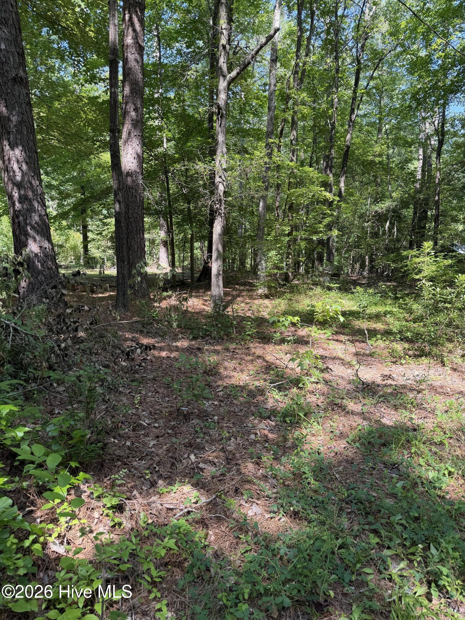 Land in Louisburg 4