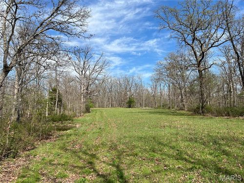 24755 Mayapple Lane, Lebanon, MO, 65536 | Card Image
