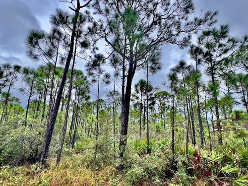 2005 Sand Dollar Trl, St. George Island, FL, 32328 | Card Image