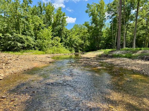 42.83 acres Rose Trail, Melbourne, AR, 72556 | Card Image