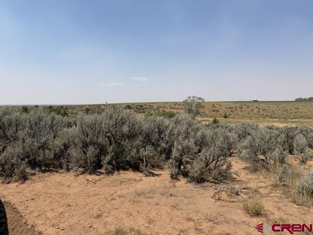 Land in Dove Creek 2