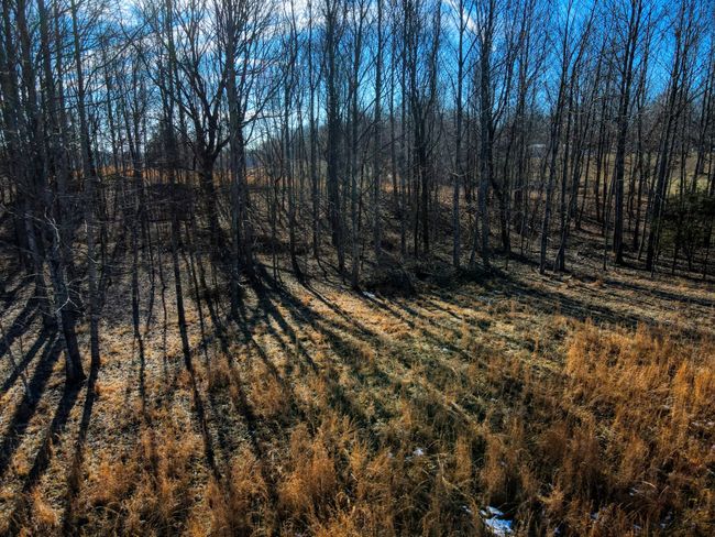 0 Old Jones Easement, Home with 0 bedrooms, 0 bathrooms and null parking in Adolphus KY | Image 4